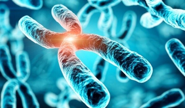 Boosting IVF Success Rates: The Role of Pre-implantation Genetic Testing