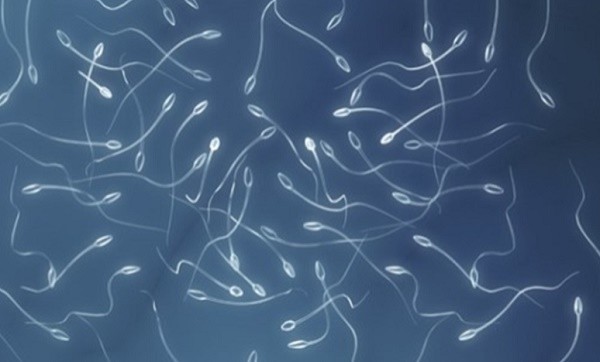 The Hidden Impact of Undescended Testicles on Long-term Sperm Count”