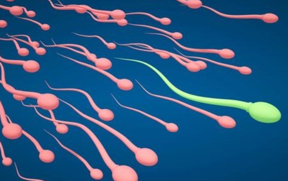 Non-obstructive Azoospermia: Why Testosterone and HCG Injections May Not Be the Answer