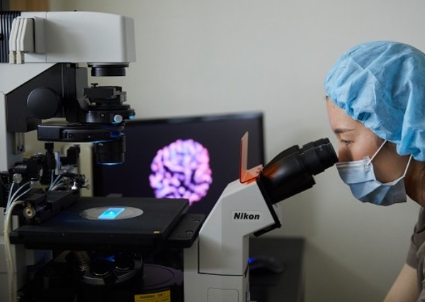 Advancements in IVF: Specialized Culture Media for Diminished Ovarian Reserve