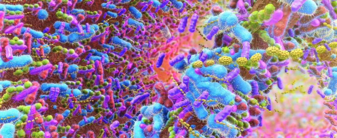 “The Ovary is Not the Starting Line”: Reproductive Medicine Shifts Focus to the Gut-Ovary Axis