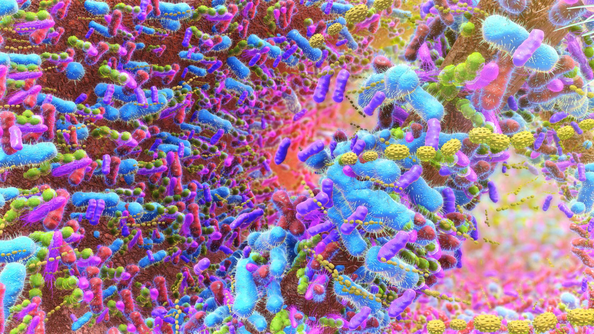 “The Ovary is Not the Starting Line”: Reproductive Medicine Shifts Focus to the Gut-Ovary Axis