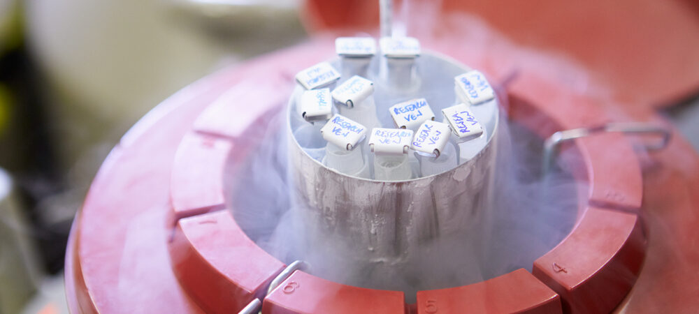 “The IVF Success Paradox”: Why Rising Procedures Are Masking Falling Efficiency