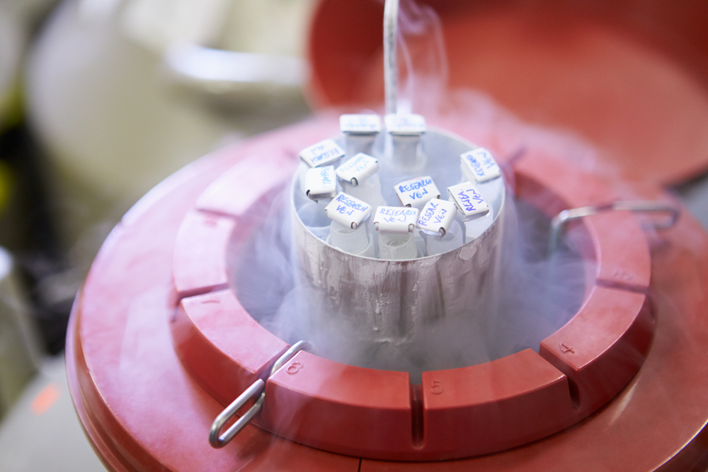 “The IVF Success Paradox”: Why Rising Procedures Are Masking Falling Efficiency
