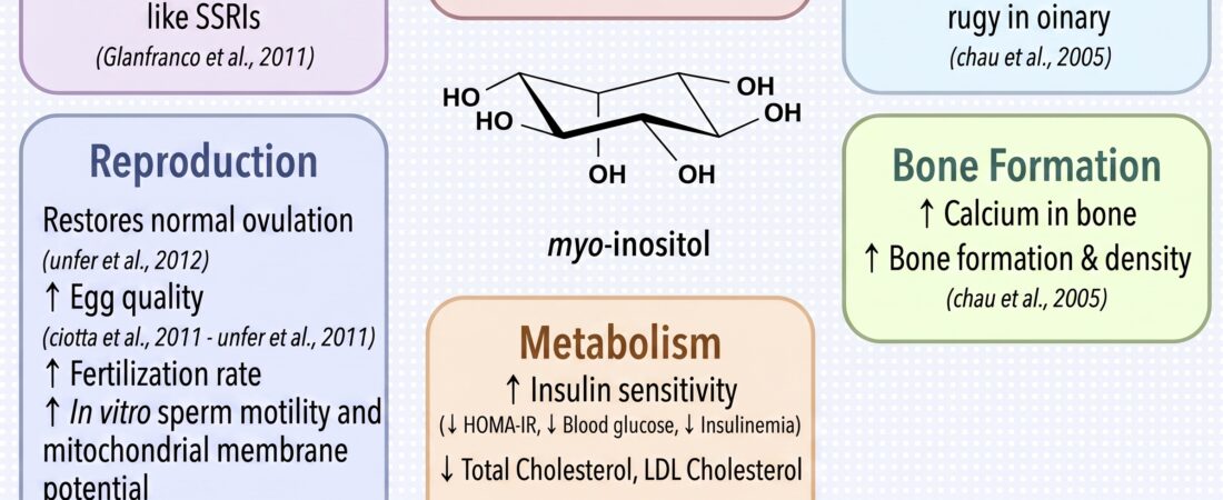 Can Inositol Help with PCOS-Related Infertility? A Deep Dive into the Science