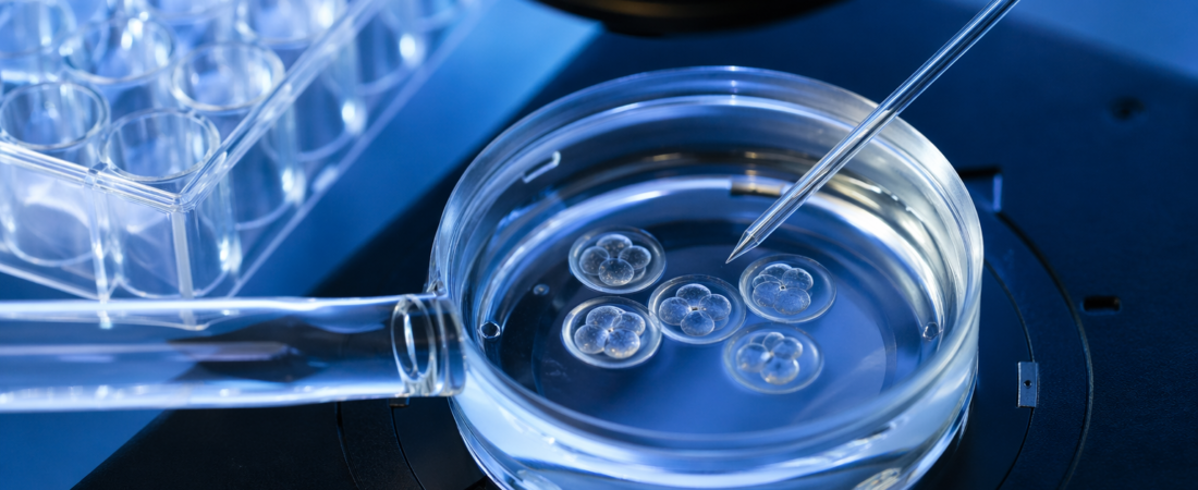 “The Engineering of Life”: IVF Transitions from Embryo Selection to Environmental Design