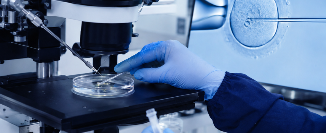 “Will Selecting Better Sperm Also Increase Success Rates?”