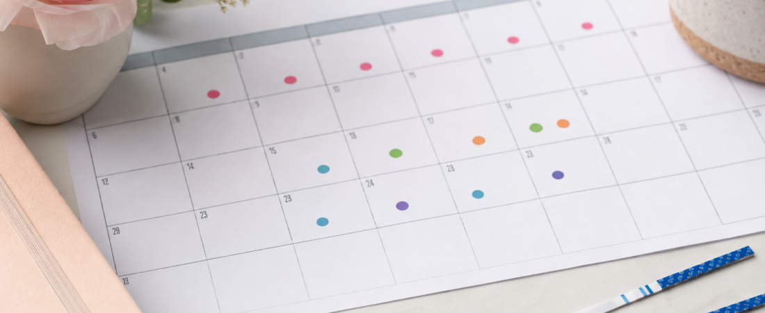 “A 28-Day Cycle Means Ovulating on Day 14?”… The Female Body Does Not Run on a Calendar