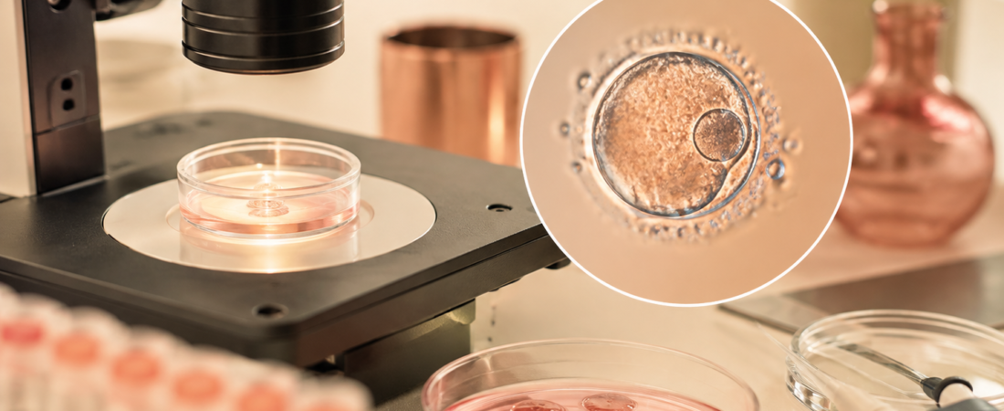 “The Embryos Discarded as ‘Single Pronucleus’… 96.9% of Conventional IVF 1PN Blastocysts Proven Biparental in 13,203-Embryo Analysis”