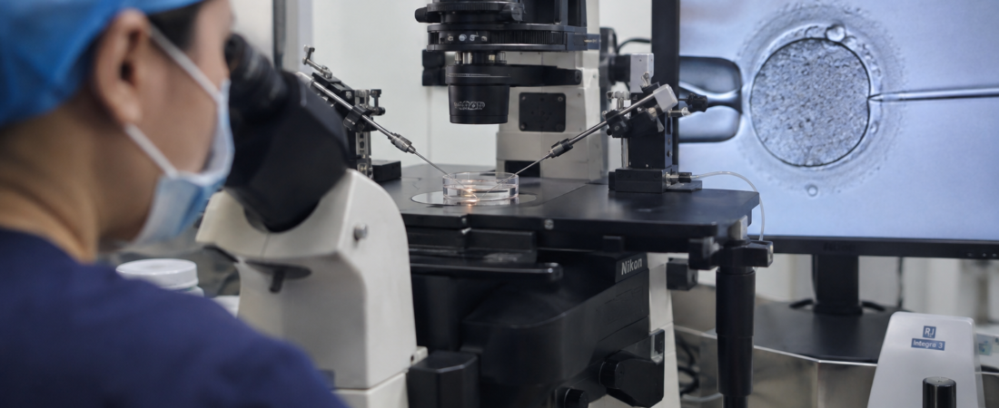 “Does ICSI Help Embryos Grow Better?”… What Analyzing Early Cleavage Patterns in 125,570 Embryos Revealed