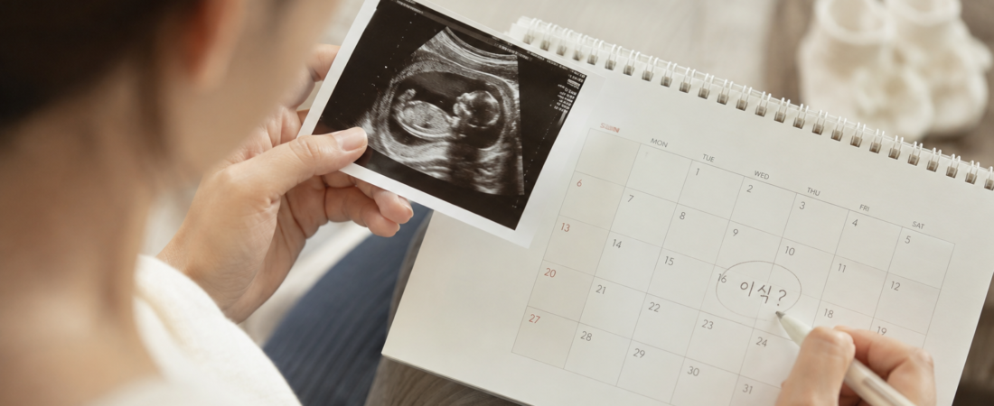 “Does Resting for a Month After Egg Retrieval Improve Implantation?”… Comparing ‘Immediate Transfer vs. Waiting One Cycle’