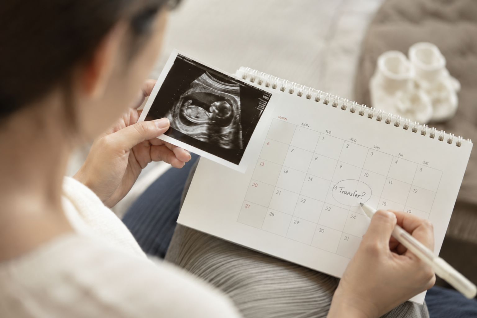 Frozen Embryo Transfer: Should You Wait a Cycle?