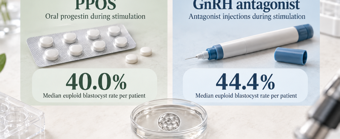 AI infographic comparing PPOS and GnRH antagonist protocols in 400 women, showing median euploid blastocyst rates of 40.0% and 44.4% with no statistically significant difference.